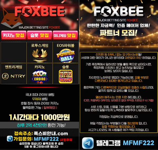 023d9fe483703bcc71ede9bc9d358196_1705114416_3106.png