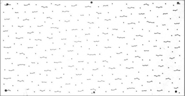 b55d522f7fa0970d3bd3dd5f8ede98c0_1706941077_5133.png