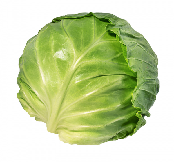 c88c534452b57a4a25b0ed817c0ad40f_1708316164_1204.png